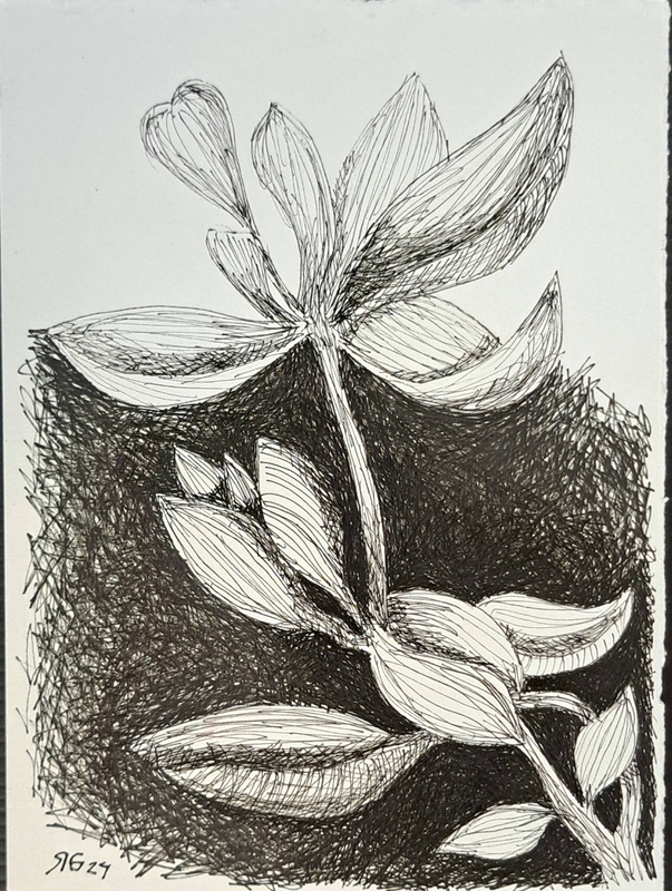 Exposição “UNA”, de Roberto Galvão, reúne obras em Fortaleza Exposição “UNA”, de Roberto Galvão, reúne obras em Fortaleza