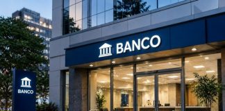 Temenos cresce no Brasil para otimizar setor financeiro