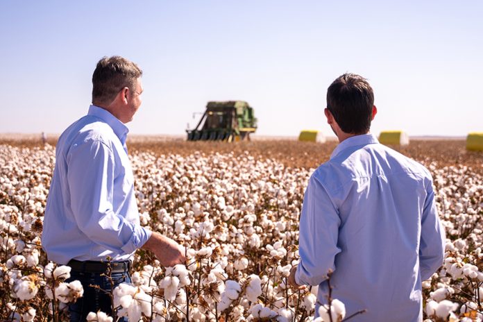 Grupo Bom Jesus completa 50 anos com expansão no agronegócio Grupo Bom Jesus completa 50 anos com expansão no agronegócio