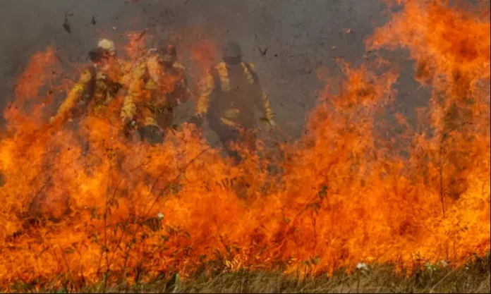 incendio-fogo-queimada-050826