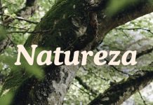 ECA Ambiental é aprovado no Congresso Nacional ECA Ambiental é aprovado no Congresso Nacional