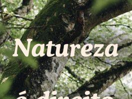 ECA Ambiental é aprovado no Congresso Nacional