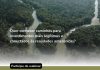 Webinário debate caminhos para investimentos sustentáveis