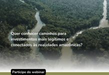 Webinário debate caminhos para investimentos sustentáveis