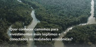 Webinário debate caminhos para investimentos sustentáveis