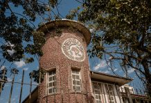 Pesquisa em herbário de SC descobre seis espécies de plantas Pesquisa em herbário de SC descobre seis espécies de plantas