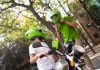 inDrive lança guia de segurança para motociclistas parceiros