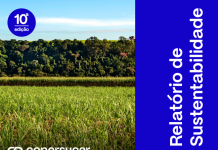 Copersucar lança Relatório de Sustentabilidade Safra 25/26