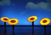 MOMIX apresenta o espetáculo BOTANICA em turnê pelo Brasil MOMIX apresenta o espetáculo BOTANICA em turnê pelo Brasil