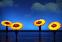 MOMIX apresenta o espetáculo BOTANICA em turnê pelo Brasil MOMIX apresenta o espetáculo BOTANICA em turnê pelo Brasil