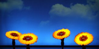 MOMIX apresenta o espetáculo BOTANICA em turnê pelo Brasil MOMIX apresenta o espetáculo BOTANICA em turnê pelo Brasil