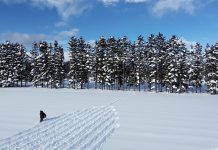 Land Art: artistas transformam natureza em telas