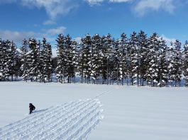 Land Art: artistas transformam natureza em telas