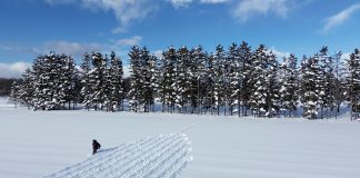 Land Art: artistas transformam natureza em telas
