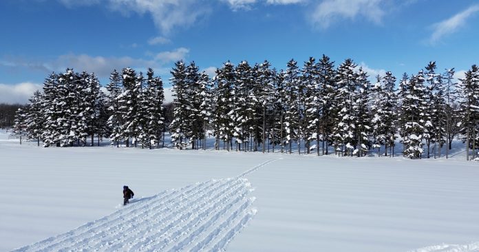 Land Art: artistas transformam natureza em telas