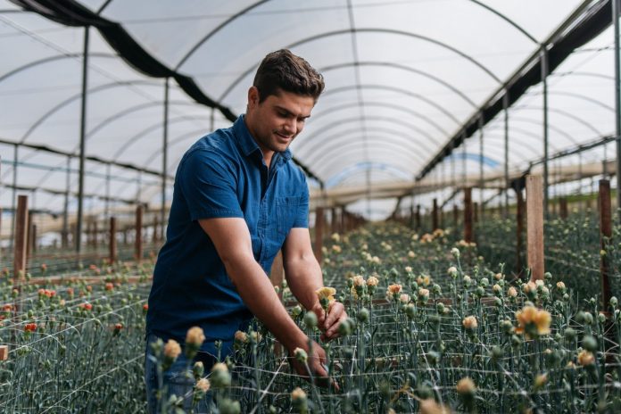 Primavera destaca diversidade no mercado de flores