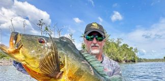 MLF anuncia entrada no Brasil em 2027