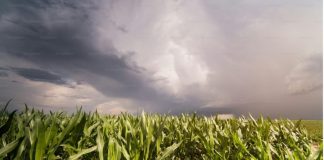 El Niño eleva desafio para a safra de verão