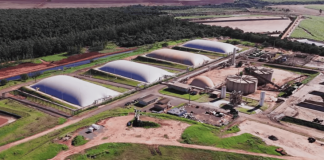 Brasil entra no grupo global de expansão do biometano Brasil entra no grupo global de expansão do biometano