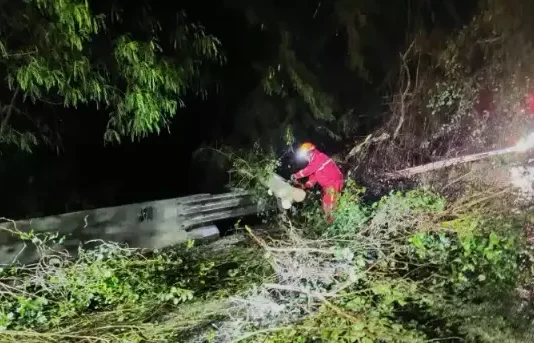 Temporal provoca quedas de árvores e mobiliza equipes de emergência em Botucatu