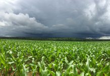 El Niño forte aumenta risco para o agronegócio
