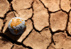 El Niño exige foco em saneamento contra impactos climáticos