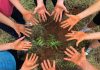 Relatórios de sustentabilidade de escolas ganham relevância Relatórios de sustentabilidade de escolas ganham relevância