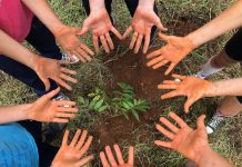 Relatórios de sustentabilidade de escolas ganham relevância Relatórios de sustentabilidade de escolas ganham relevância