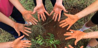 Relatórios de sustentabilidade de escolas ganham relevância Relatórios de sustentabilidade de escolas ganham relevância