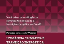 Webinário debate avanço da litigância climática Webinário debate avanço da litigância climática