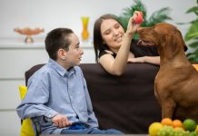 Atendimento gratuito com cães para crianças neurodivergentes