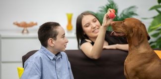 Atendimento gratuito com cães para crianças neurodivergentes Atendimento gratuito com cães para crianças neurodivergentes