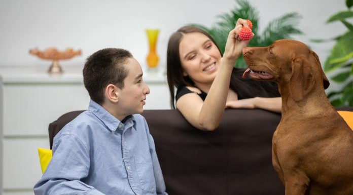 Atendimento gratuito com cães para crianças neurodivergentes Atendimento gratuito com cães para crianças neurodivergentes