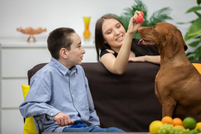 Atendimento gratuito com cães para crianças neurodivergentes