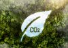 Crédito de carbono de alta qualidade sobe 75%, diz MSCI Crédito de carbono de alta qualidade sobe 75%, diz MSCI