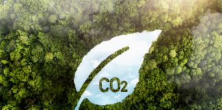 Crédito de carbono de alta qualidade sobe 75%, diz MSCI