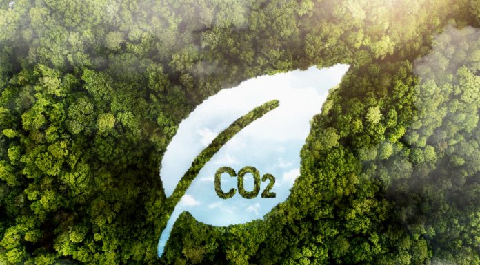 Crédito de carbono de alta qualidade sobe 75%, diz MSCI