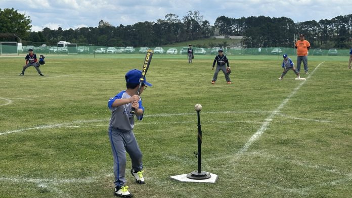 Festival Nacional de T-Bol – Taça Yakult reúne 31 equipes