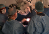 Cirurgia ao vivo é destaque do Neuro University Summit 2026