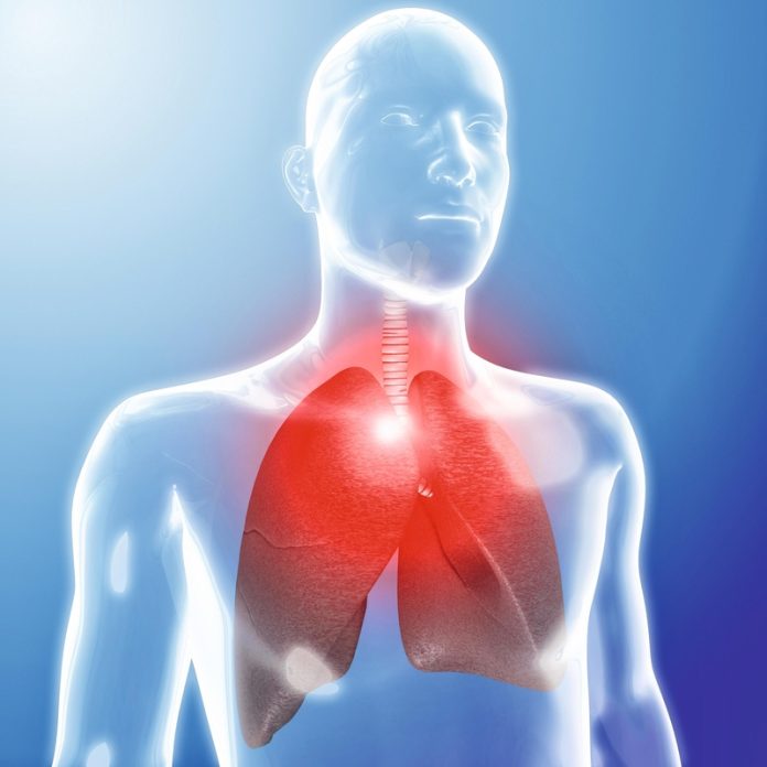Doença cardiopulmonar é desconhecida por 62% dos brasileiros Doença cardiopulmonar é desconhecida por 62% dos brasileiros