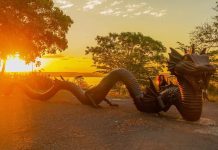 Esculturas e obras, a arte que nasce do Rio São Francisco Esculturas e obras, a arte que nasce do Rio São Francisco
