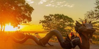 Esculturas e obras, a arte que nasce do Rio São Francisco