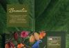 Chocolate de Santa Catarina revela o Brasil no Natal Chocolate de Santa Catarina revela o Brasil no Natal