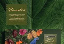 Chocolate de Santa Catarina revela o Brasil no Natal Chocolate de Santa Catarina revela o Brasil no Natal
