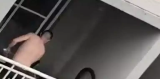 Homem é preso após ser filmado agredindo cachorro com rodo, em Botucatu