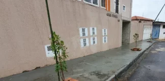 Botucatu Cidade Viva chega ao Centro com nova etapa de arborização urbana
